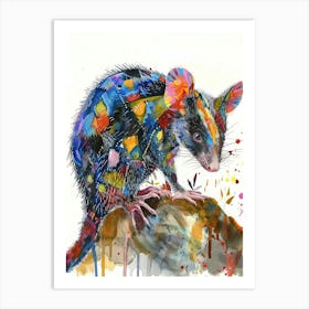 Opossum Colourful Watercolour 4 Art Print