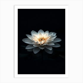 Lotus Flower 14 Art Print