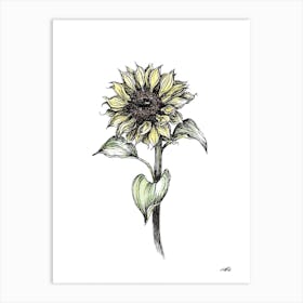 Watercolour Sunflower Left Art Print