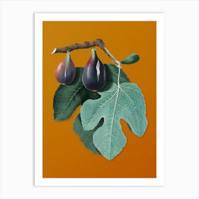 Vintage Fig Botanical on Sunset Orange Art Print