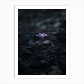 Flower In The Dark 92 Art Print