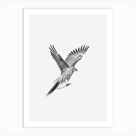 Hawk B&W Pencil Drawing 1 Bird Art Print