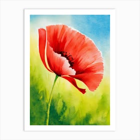 Poppy Watercolor Painting Art Print