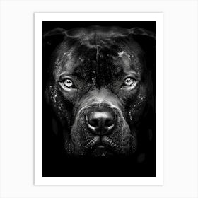 Bulldog Portrait Art Print