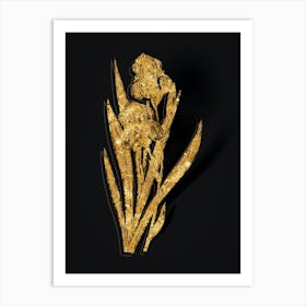Vintage German Iris Botanical in Gold on Black n.0573 Art Print