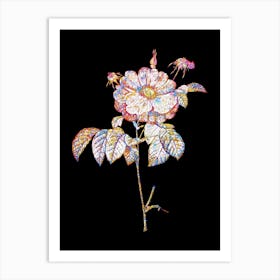 Stained Glass Speckled Provins Rose Mosaic Botanical Illustration on Black Art Print