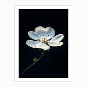 White Flower 6 Art Print