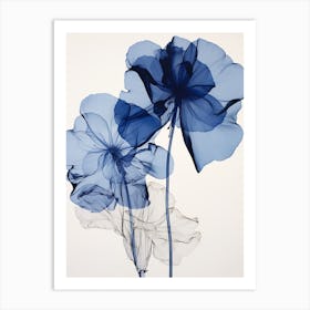 Blue Botanical Amaryllis 2 Art Print