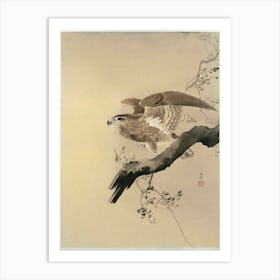 Hawk (1887 1945), Ohara Koson Art Print