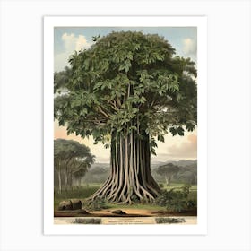 Banyan Tree Art Print