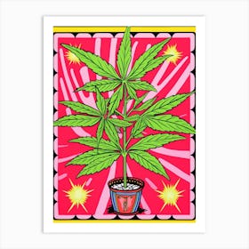 Pink And Red Plant Illustration Dracaena Lemon Lime 2 Art Print