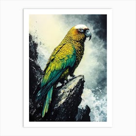 Parrot On Rock Affiche