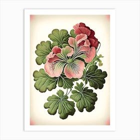 Geranium 2 Floral Botanical Vintage Poster Flower Art Print