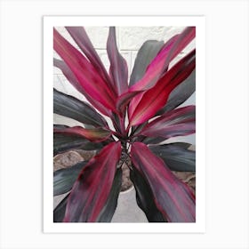 Red And Black Plant Art Print