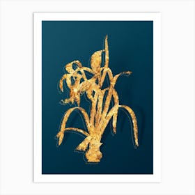 Vintage Sprekelia Botanical in Gold on Teal Blue n.0245 Art Print