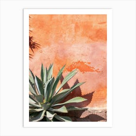 Agave 2 Art Print