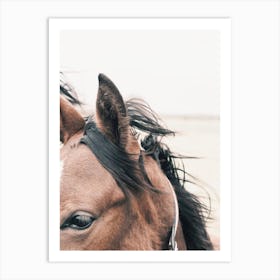 Horse Ears In Wind Art Print