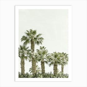 Tropical Palm Trees Art Print