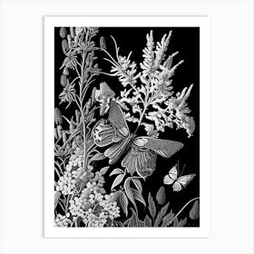 Butterfly Bush Wildflower Linocut 2 Art Print