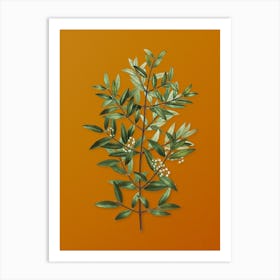 Vintage Phillyrea Tree Branch Botanical on Sunset Orange n.0882 Art Print