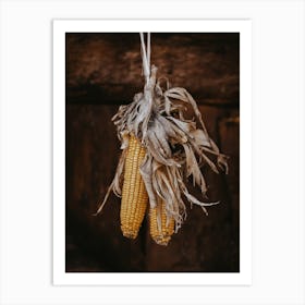 Dried Yellow Corn Art Print