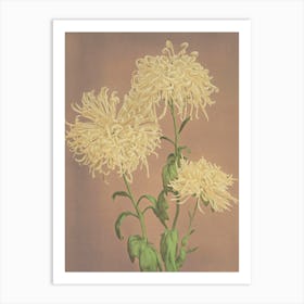 Beautiful Photomechanical Prints Of Three Yellow Chrysanthemums, Kazumasa Ogawa Art Print
