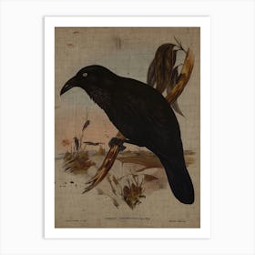 Crow Art Print