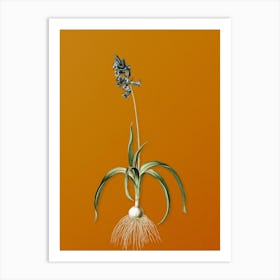 Vintage Common Bluebell Botanical on Sunset Orange n.0303 Art Print