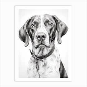 Pointer Dog, Line Drawing 4 Art Print