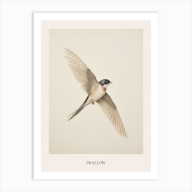 Vintage Bird Drawing Swallow 1 Poster Art Print