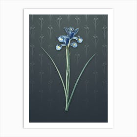 Vintage Spanish Iris Botanical on Slate Gray Pattern n.1809 Art Print