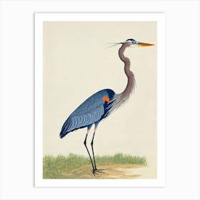 Great Blue Heron Illustration Bird Art Print