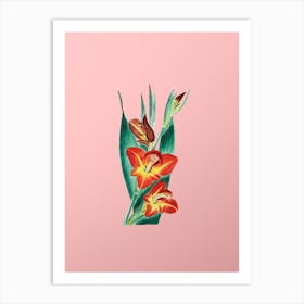 Vintage Parrot Gladiole Flower Botanical on Soft Pink n.0128 Art Print