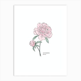 November Peony Birth Flower 1 Art Print