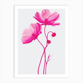 Hot Pink Cosmos 2 Art Print