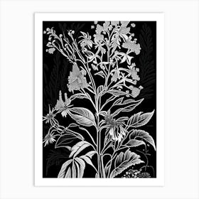 Black Snakeroot Wildflower Linocut 2 Art Print