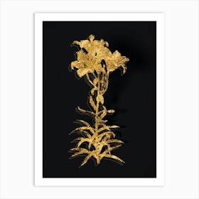 Vintage Fire Lily Botanical in Gold on Black n.0059 Art Print