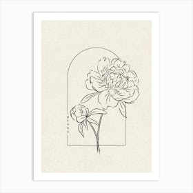 Peony Flower Art Print