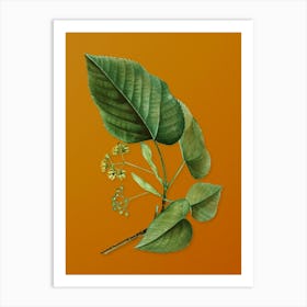 Vintage Linden Tree Branch Botanical on Sunset Orange n.0573 Art Print