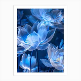 Lotus Flower 12 Art Print