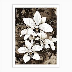 Orchid Bloom (1) Art Print