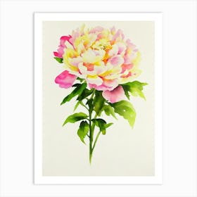 Peony 1 Vintage Flowers Flower Art Print