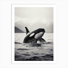 Misty Orca Whale And Mountain In The Distance Black & White Art Print