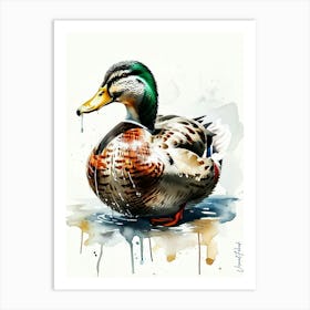 A Wild Male Duck Art Print