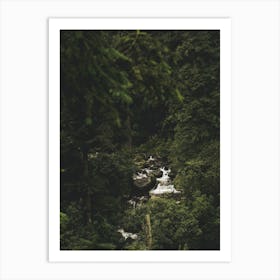 Waterfall In The Forest Art Print