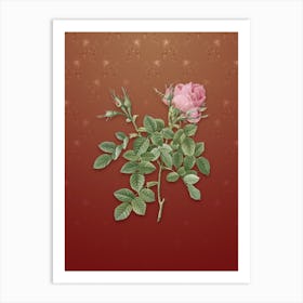 Vintage Dwarf Damask Rose Botanical on Falu Red Pattern n.2585 Art Print
