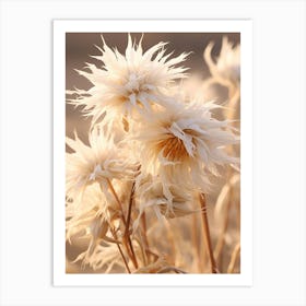 Boho Dried Flowers Passionflower 2 Art Print