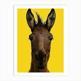 Donkey 1 Art Print