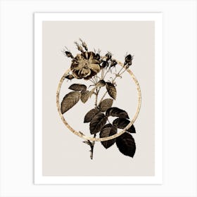 Gold Ring Harsh Downy Rose Glitter Botanical Illustration Art Print