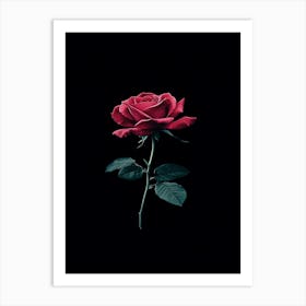 Rose On A Black Background 21 Art Print